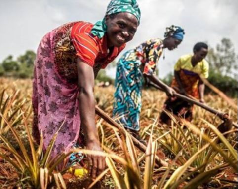 A proposito di Africa (Ph da Focsiv)