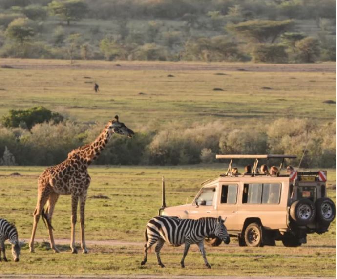 Africa