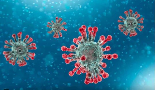 IL “FINTOVIRUS”